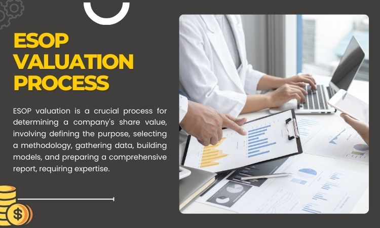 ESOP Valuation Process