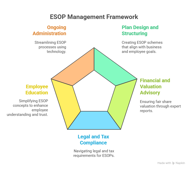 Role of an ESOP Consultant in India